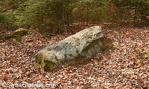 Erratic block with so-called shells (shell stone). Swiss Mittelland